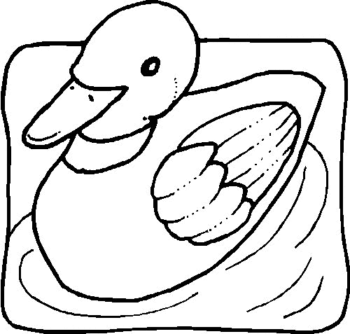 animated-coloring-pages-duck-image-0010