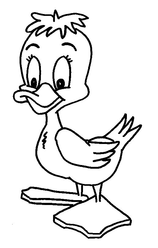 animated-coloring-pages-duck-image-0015
