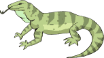 animated-lizard-image-0003