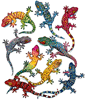 animated-lizard-image-0015