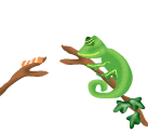 animated-lizard-image-0062
