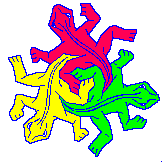 animated-lizard-image-0073