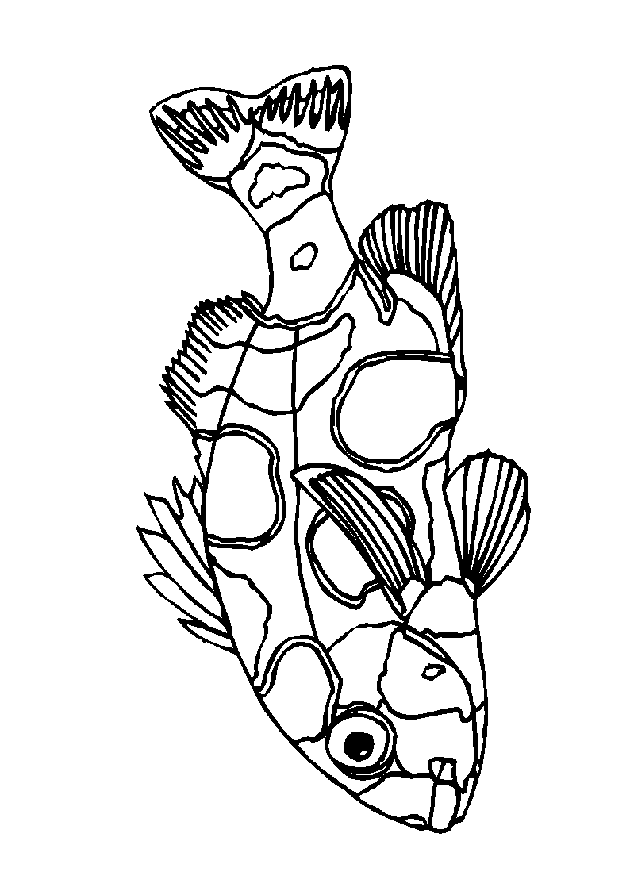 animated-coloring-pages-fish-image-0006