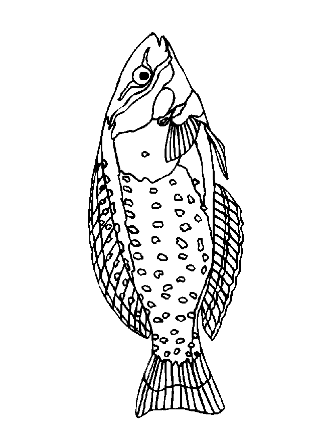 animated-coloring-pages-fish-image-0015