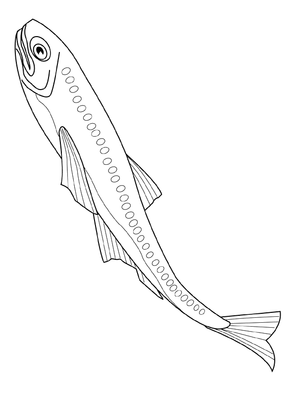 animated-coloring-pages-fish-image-0028