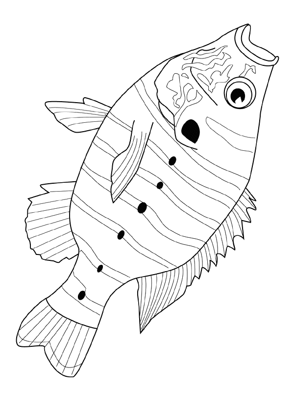 animated-coloring-pages-fish-image-0030