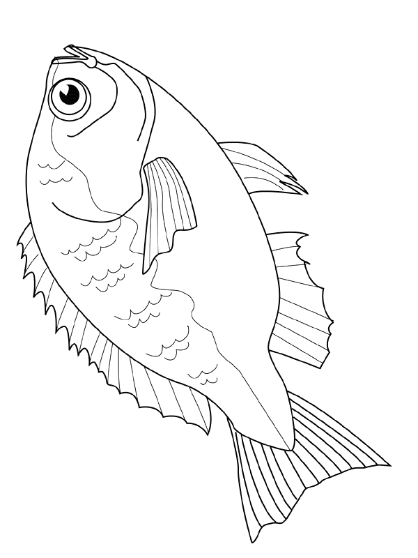 animated-coloring-pages-fish-image-0031