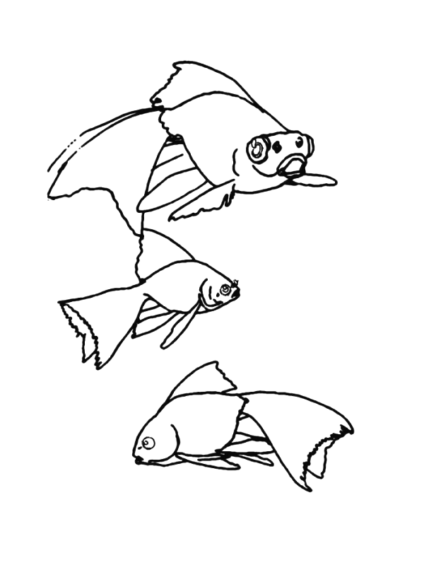 animated-coloring-pages-fish-image-0043