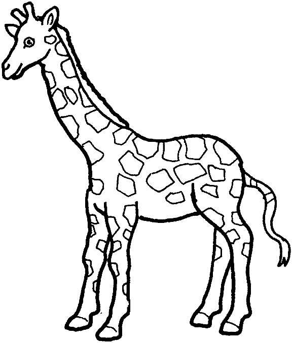 animated-coloring-pages-giraffe-image-0016