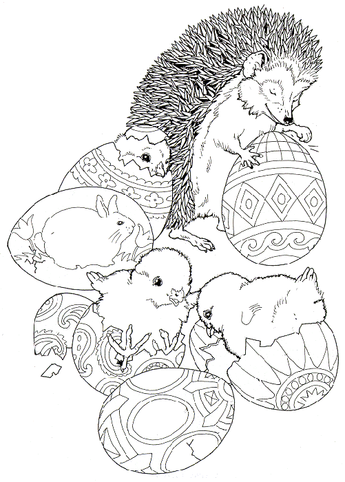 animated-coloring-pages-hedgehog-image-0009