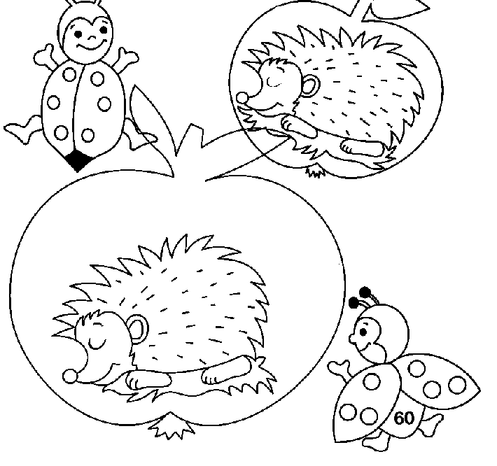 animated-coloring-pages-hedgehog-image-0014