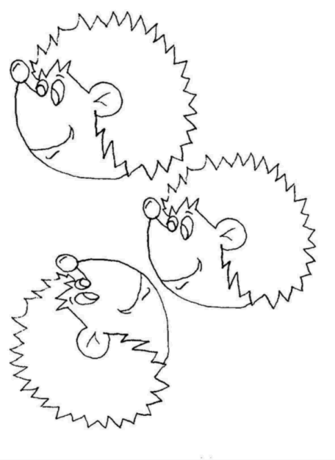 animated-coloring-pages-hedgehog-image-0020