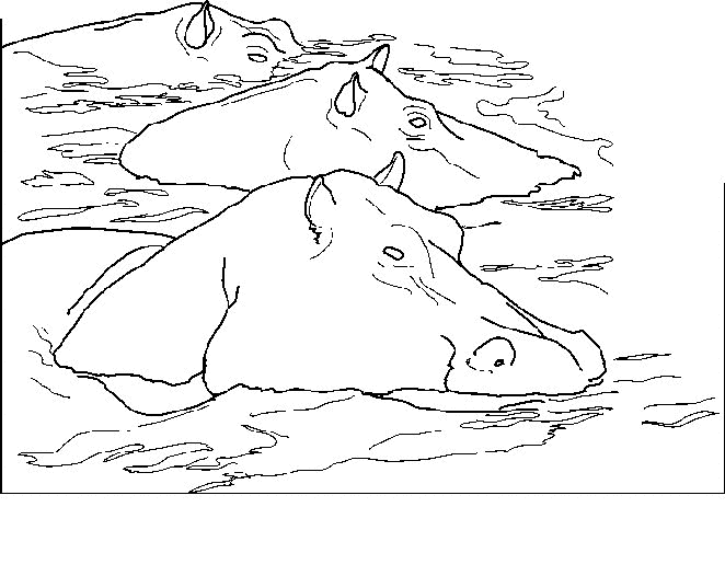 animated-coloring-pages-hippo-image-0018