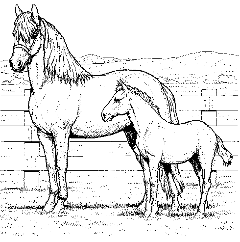animated-coloring-pages-horse-image-0015