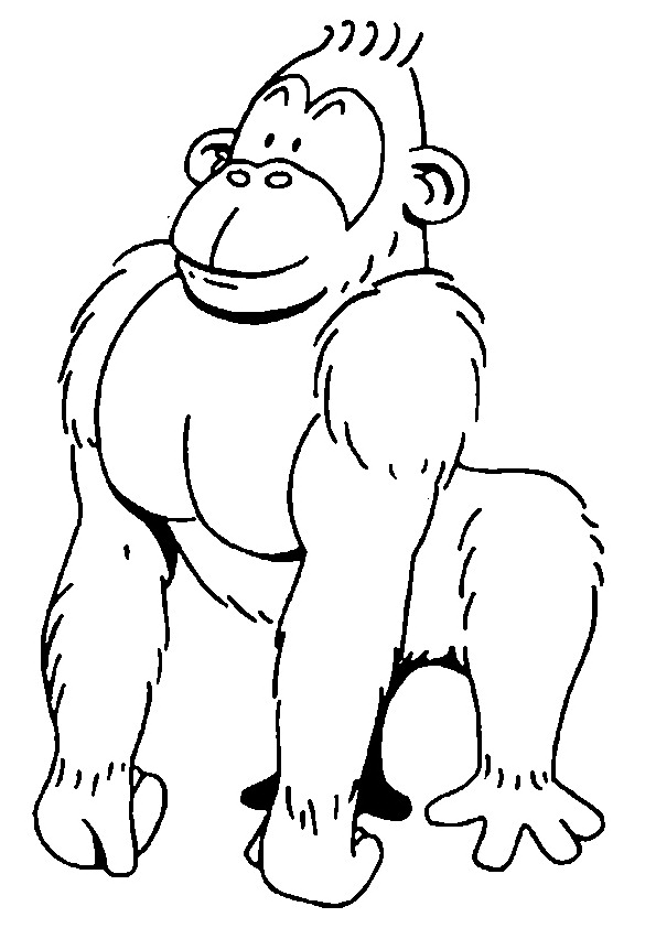 animated-coloring-pages-monkey-image-0006