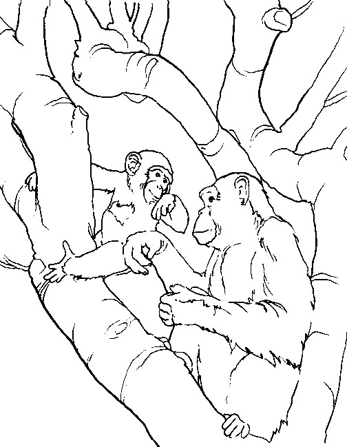 animated-coloring-pages-monkey-image-0034