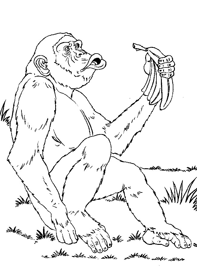 animated-coloring-pages-monkey-image-0035