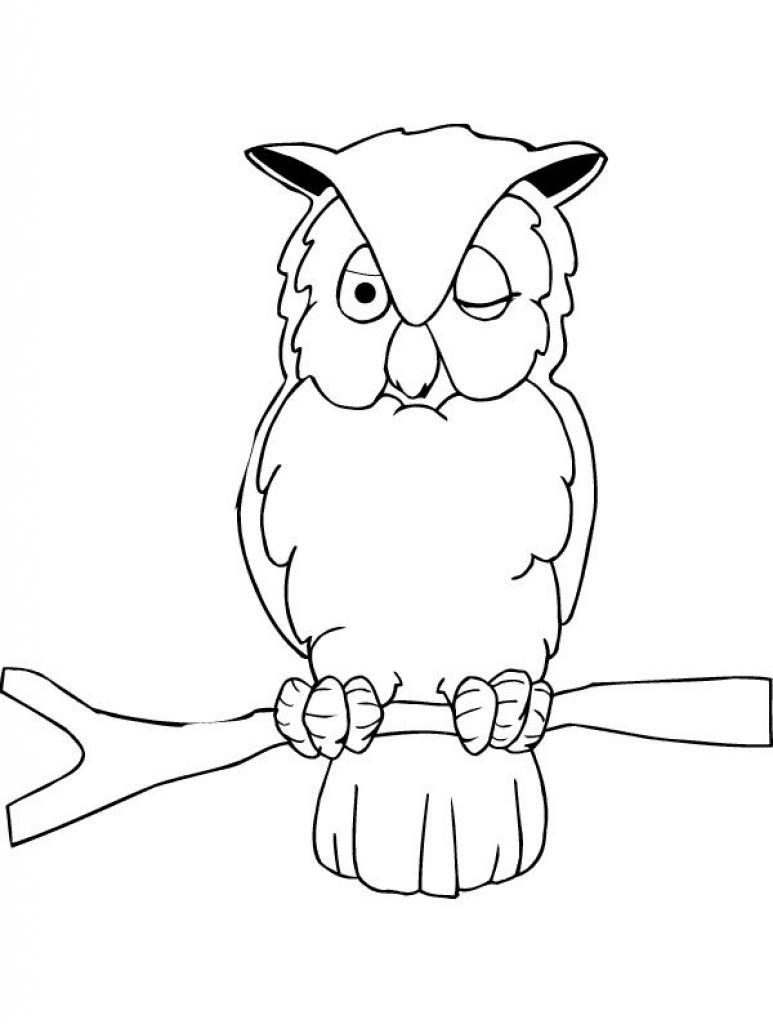 animated-coloring-pages-owl-image-0006