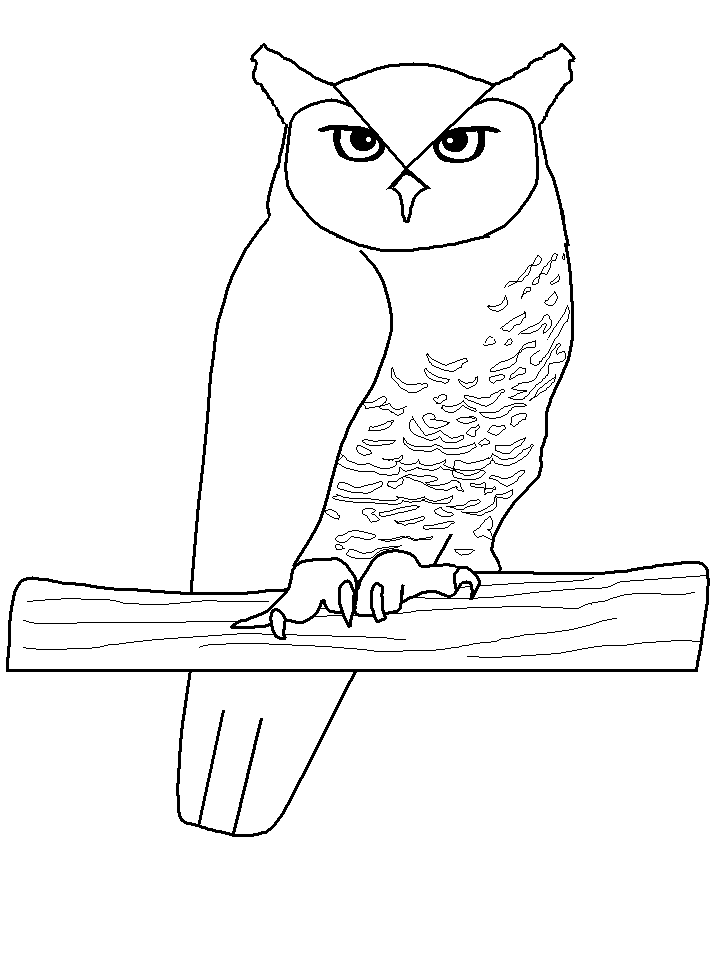 animated-coloring-pages-owl-image-0008