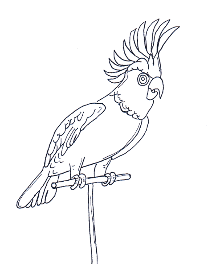 animated-coloring-pages-parrot-image-0007