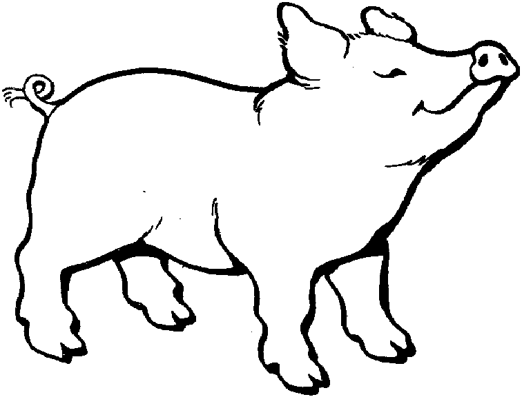 animated-coloring-pages-pig-image-0015