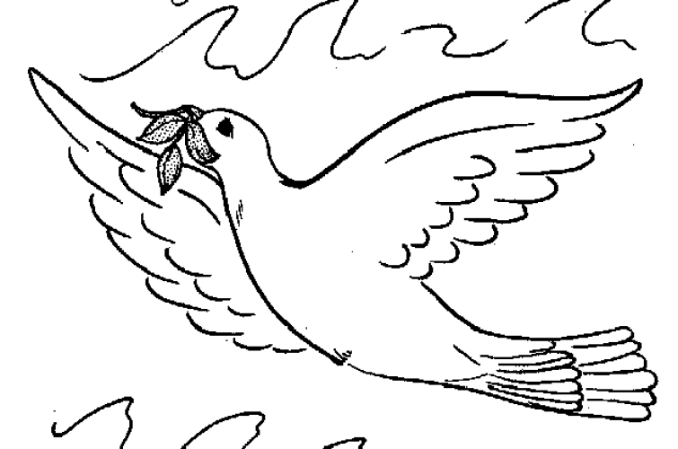 animated-coloring-pages-pigeon-image-0004