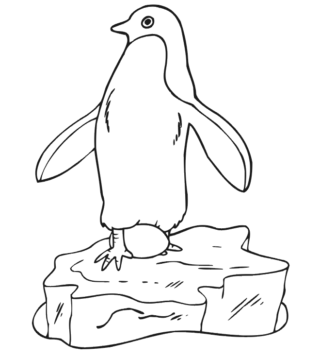 animated-coloring-pages-penguin-image-0015