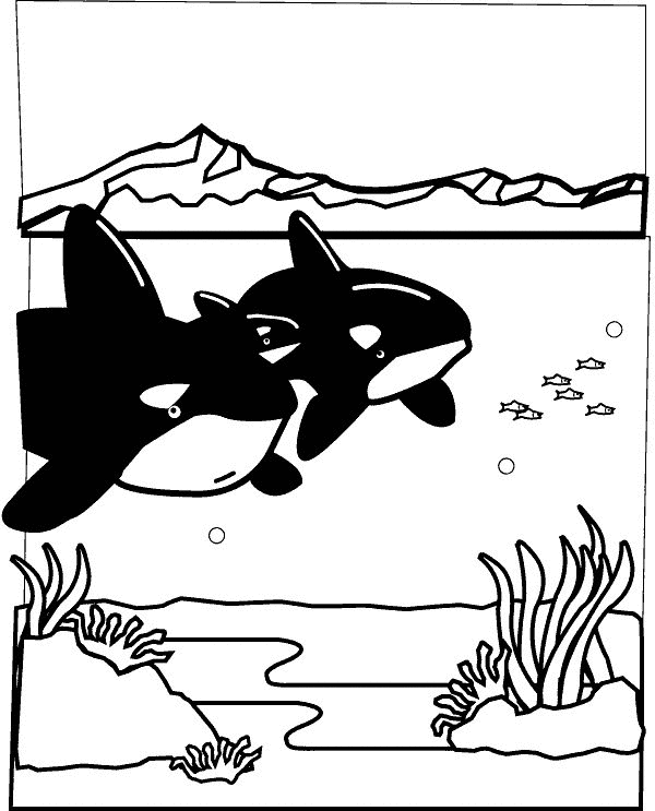animated-coloring-pages-sea-animal-image-0008