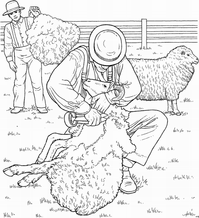 animated-coloring-pages-sheep-image-0007