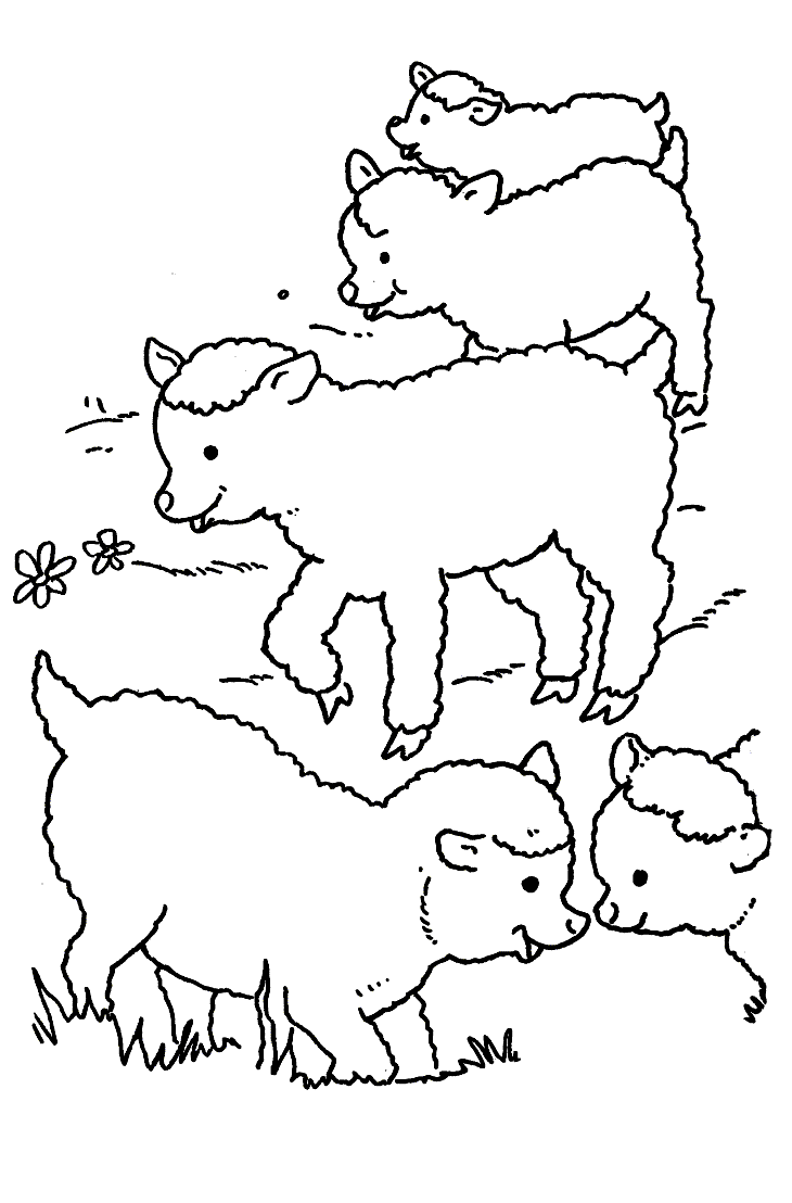 animated-coloring-pages-sheep-image-0010