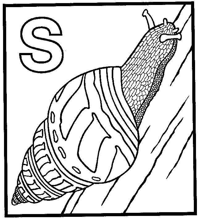 animated-coloring-pages-snail-image-0012