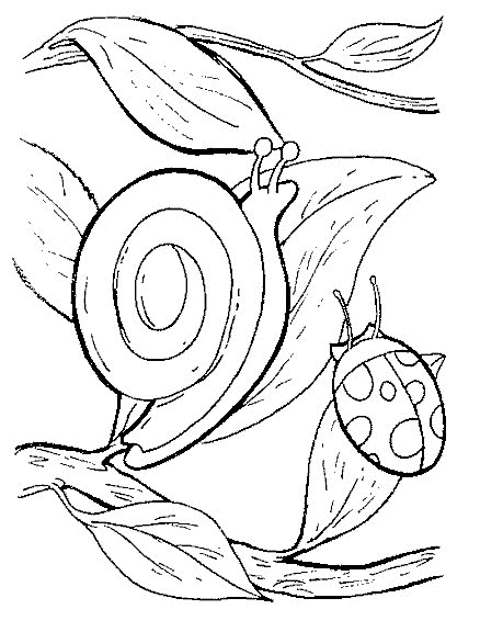 animated-coloring-pages-snail-image-0014