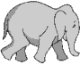 animated-elephant-image-0079