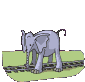 animated-elephant-image-0168