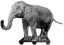 animated-elephant-image-0410