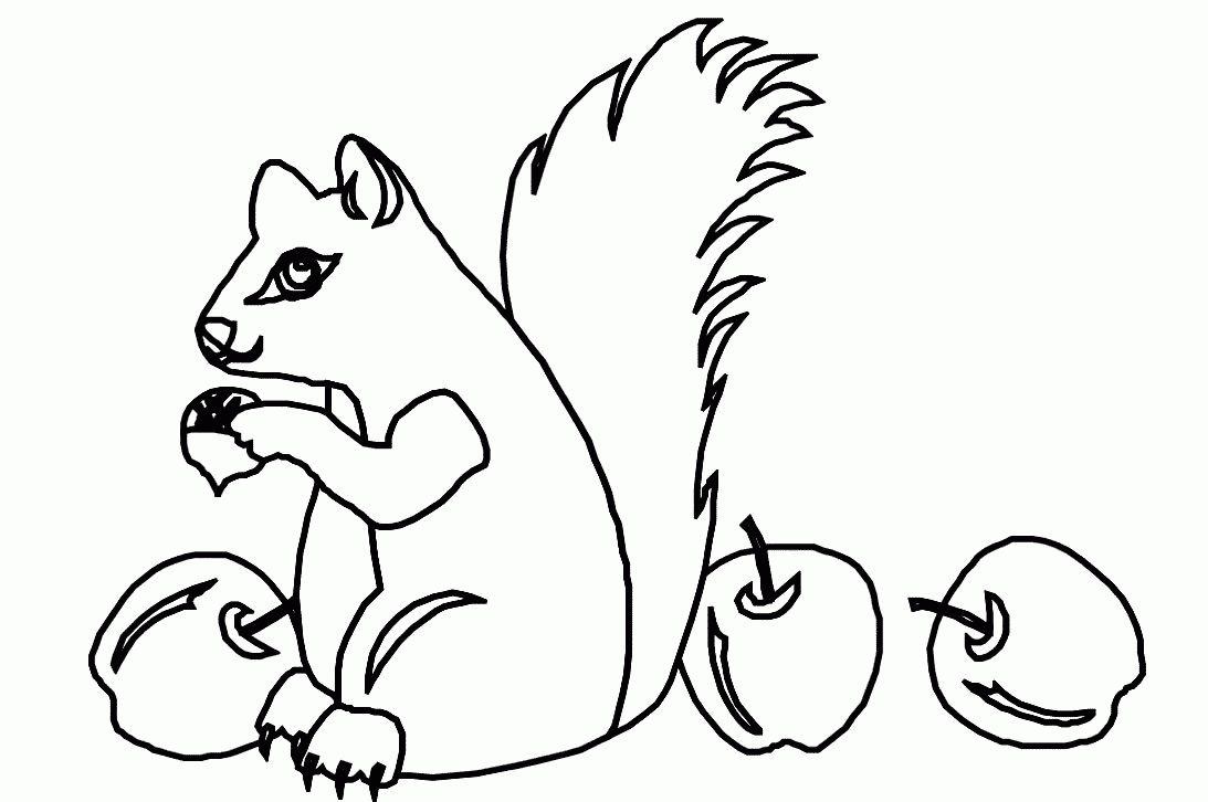 animated-coloring-pages-squirrel-image-0001