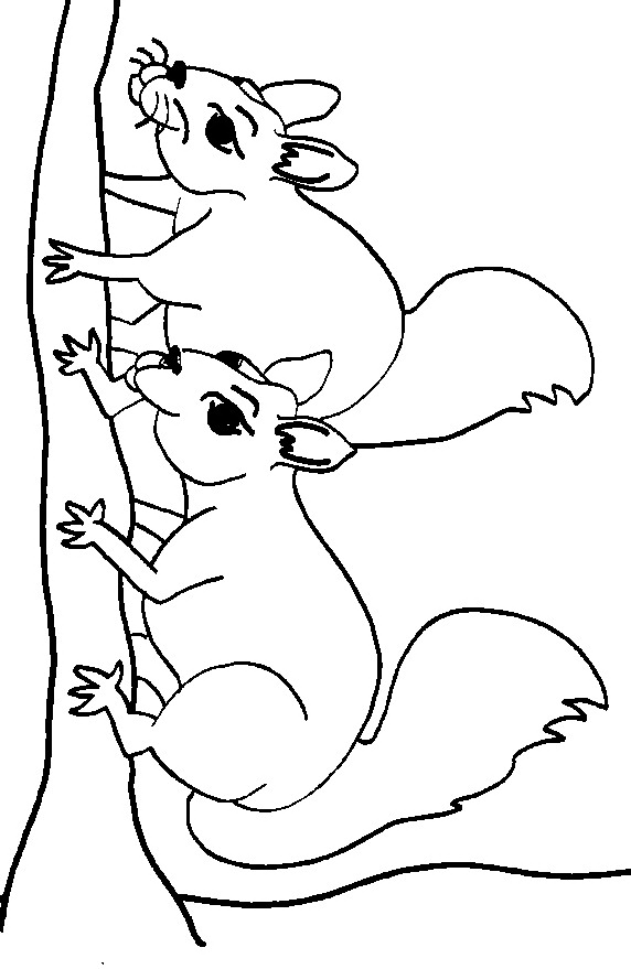 animated-coloring-pages-squirrel-image-0010