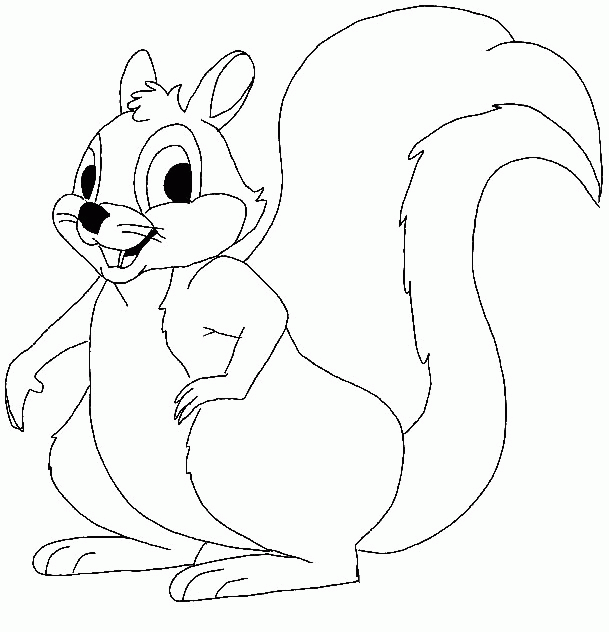 animated-coloring-pages-squirrel-image-0018