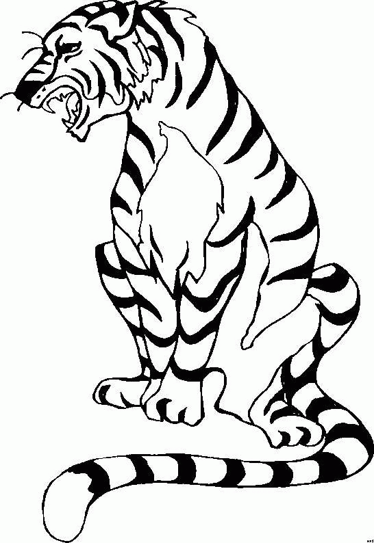 animated-coloring-pages-tiger-image-0006