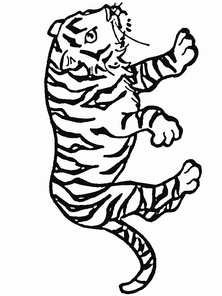 animated-coloring-pages-tiger-image-0017