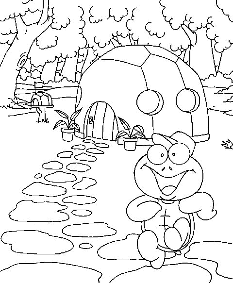 animated-coloring-pages-tortoise-and-turtle-image-0013
