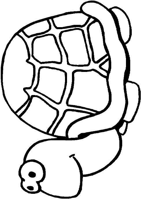 animated-coloring-pages-tortoise-and-turtle-image-0020