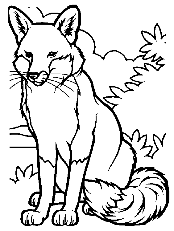 animated-coloring-pages-animal-image-0052