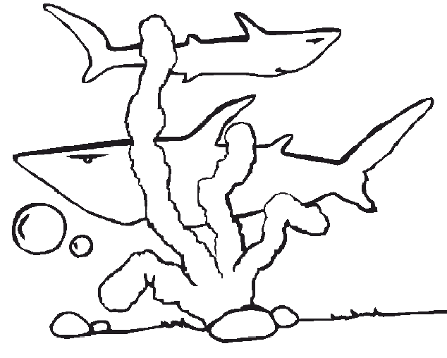 animated-coloring-pages-animal-image-0098
