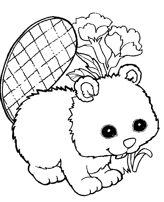 animated-coloring-pages-animal-image-0115