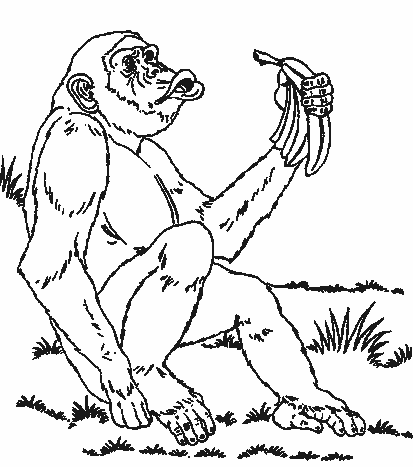 animated-coloring-pages-animal-image-0143