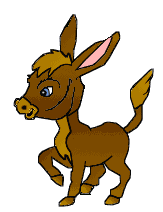 Donkeys: Animated Images & Gifs.