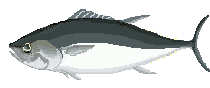 animated-fish-image-0052