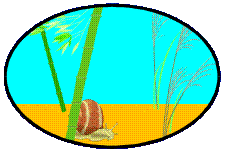 animated-fish-image-0085