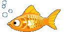 animated-fish-image-0290